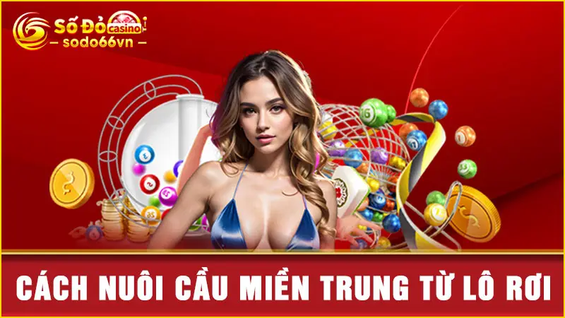 Cách nuôi cầu miền Trung từ lô rơi